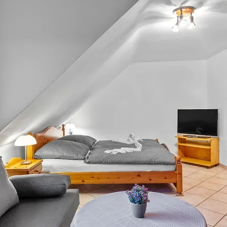Family&friends Ludwigshafen 3*